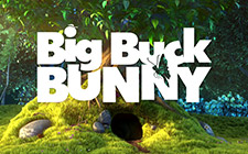 Výherní automat Big Buck Bunny