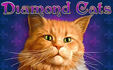 Výherní automat Diamond Cats